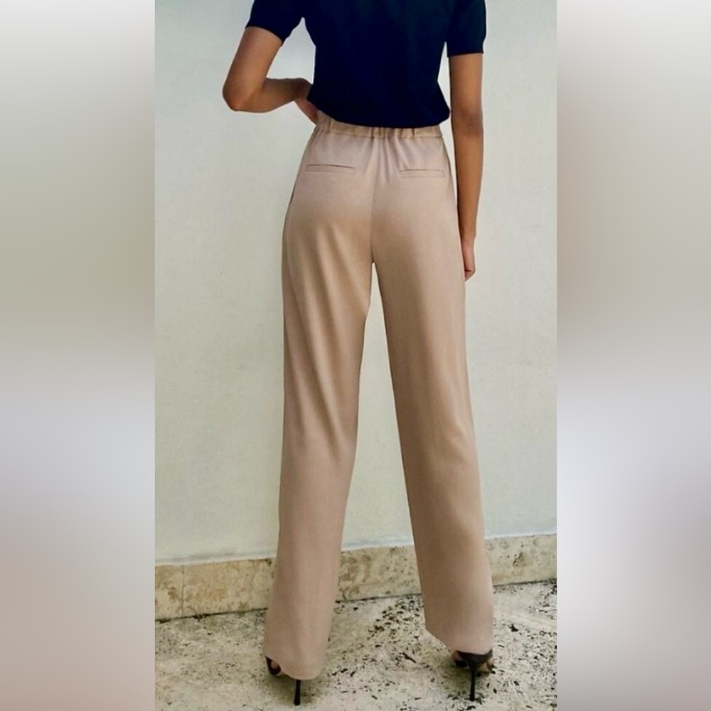 Aritzia Babaton Crepe Tio Wide Leg Pleated High Waisted Pockets Tan Pants Size 4 - Picture 2 of 10